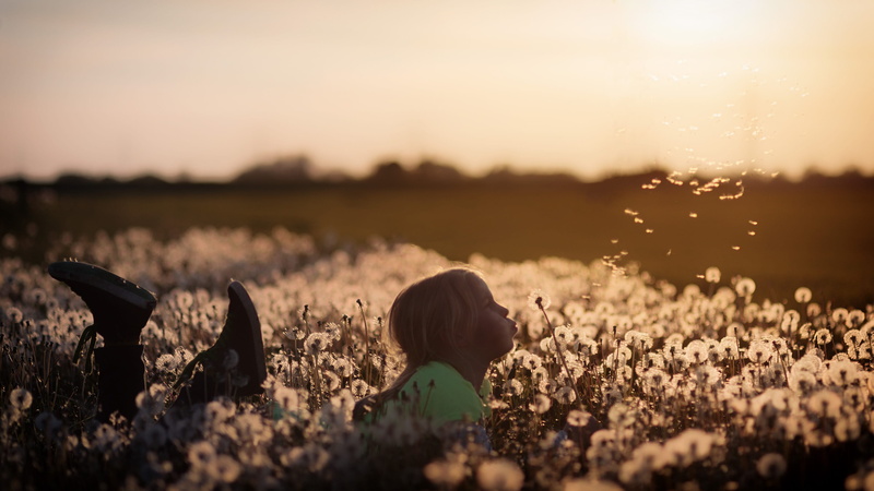 land, autumn, selective focus, 2K, agriculture, one boy only, childhood, boys, lying, rural scene, green, child, sneakers, summer, children only, happiness