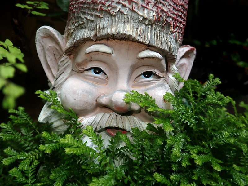 representation, plant, figurine, male likeness, green color, female likeness, statue, craft, no people, ferns, art and craft, nature, human representation