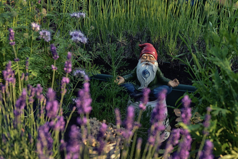 unrecognizable person, human representation, pose, obscured face, person, dwarf, human, blur, plant, real people, nature, green color, bokeh, hydrant, blossom