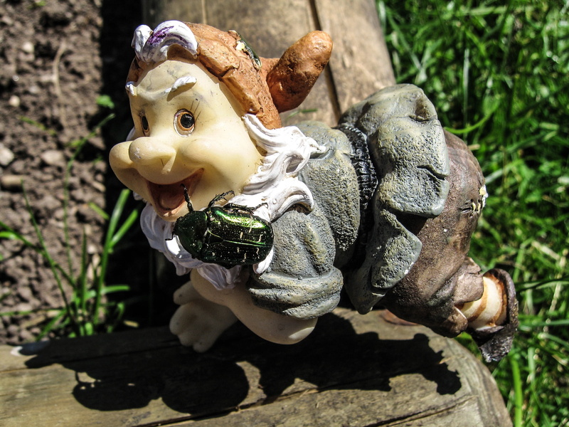representation, art and craft, toy, ornate, creativity, plant, human representation, beetle, outdoors, figure, close-up, no people, 2K, garden gnome, sunlight