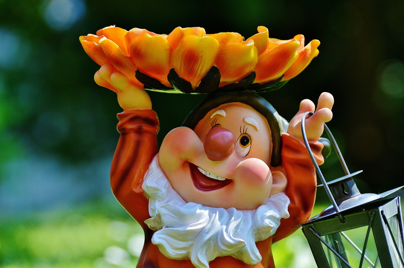 flower, vulnerability, dwarf, flowering plant, close-up, funny, smiling, child, day, childhood, nature, innocence, 5K, cute, happiness, beautiful woman