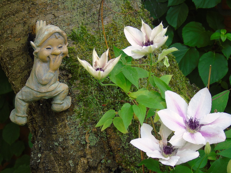 no people, petal, garden, bloom, gnome, gartendeko, vulnerability, nature, day, purple, moss, male likeness, close-up, statue, tree, art and craft, beauty in nature