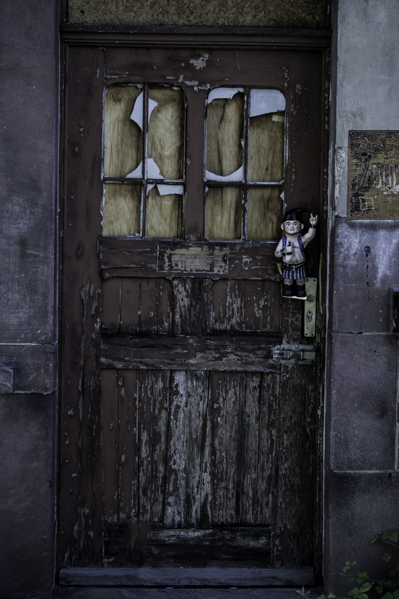 house entrance, rots, wood, wood - material, mammal, abandoned, dwarf, building, stainless, pets, door, input, old door, architecture, break up, domestic animals
