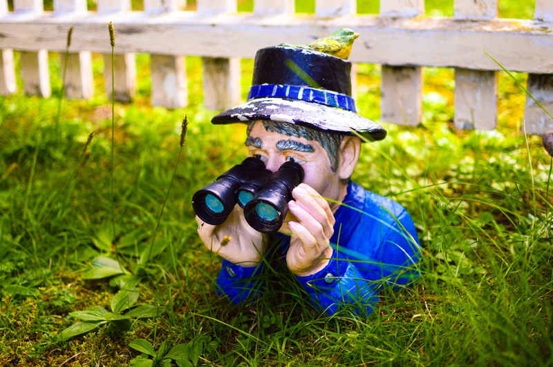 dwarf, kobold, creature, holding, land, gnome, women, looking, 5K, real people, figure, fun, hat, nature, garden figurines, binoculars, garden, garden gnome