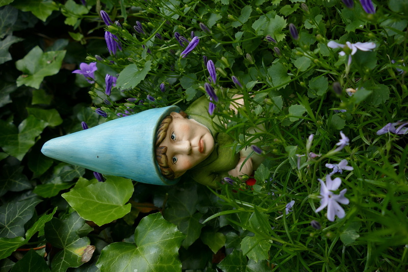 day, child, growth, women, leisure activity, plant, plant part, females, flower, real people, freshness, green color, looking at camera, garden gnome, outdoors