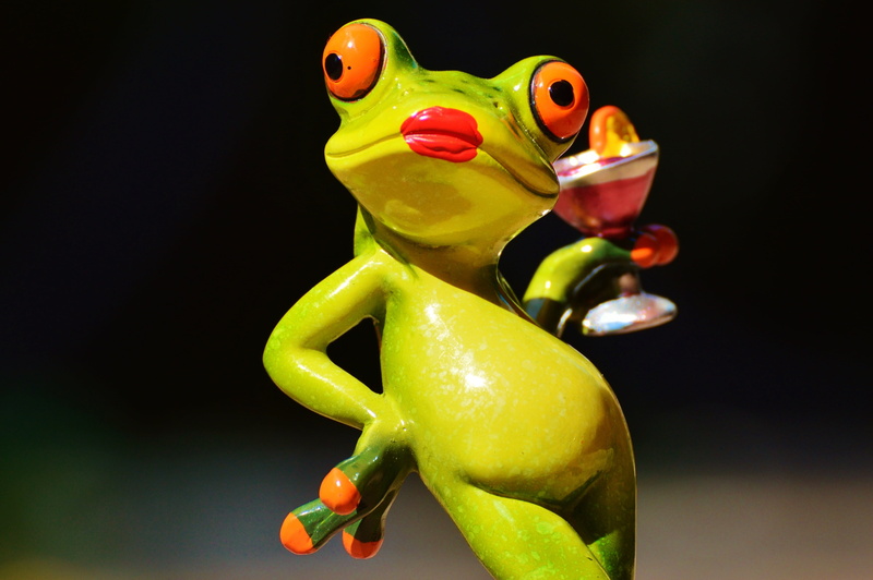 black background, vertebrate, animal, no people, 4K, frog, funny, wildlife, focus on foreground, toy, cocktail, close-up, amphibian, holding, ceramic