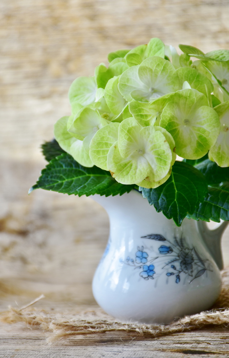 vase, close, spring flowers nature, 5K, plant, spring, color, garden, yellow, flower arrangement, nature, background, a gift of nature, ceramic, ornament