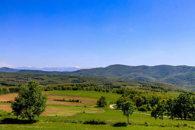 green Color, Natural, sunlight, spring, hill, Landscape, bulgaria, peaceful, blue, beauty In Nature, coniferous tree, tourism, outdoors, nature landscape