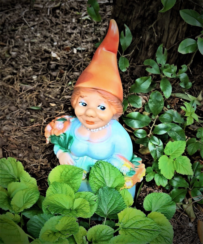 decoration, woman, are, field, green color, colorful, human representation, garden dwarf, plant, leaf, high angle view, land, 1080P, nature, garden gnome