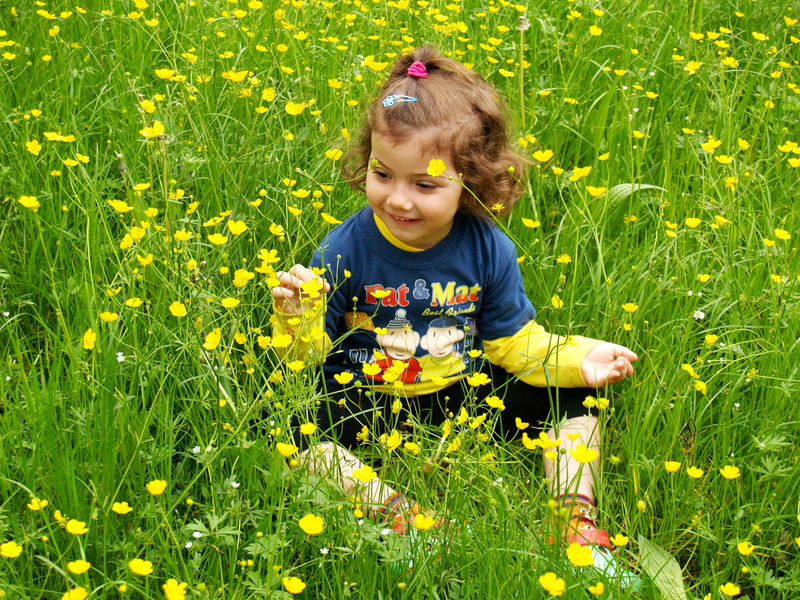 people, field, plant, outdoors, fun, playing, flower head, green Color, babies And Children, small, childhood, springtime, front view, smiling, caucasian Ethnicity