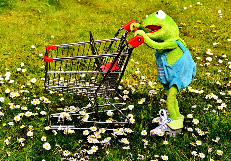 people, casual clothing, land, toys, side view, stuffed animal, shopping cart, nature, field, green, fun, animal, holding, plant, childhood, 4K, frog