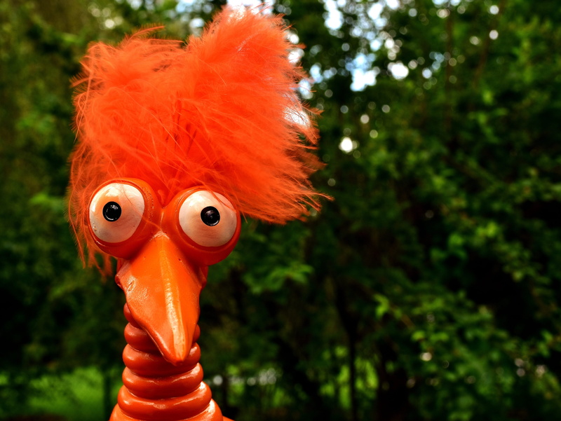 joker, no people, figure, disguise, creativity, orange color, weird bird, nature, human representation, cute, security, plant, feather, costume, outdoors
