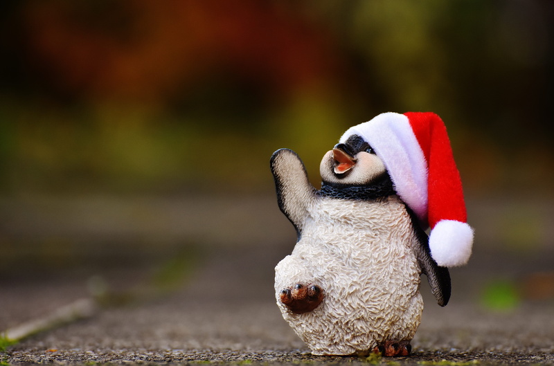 celebration, funny, mammal, figurine, decoration, figure, hat, red, mouth open, close-up, representation, christmas, animal representation, day, wearing