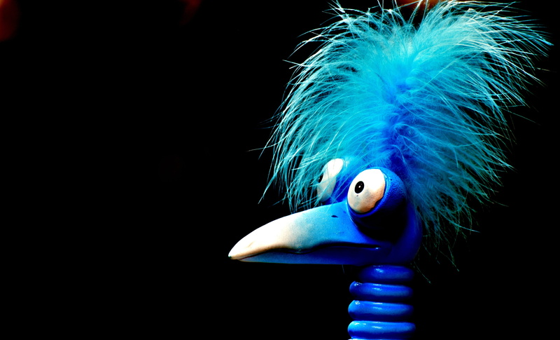 decoration, figure, no people, studio shot, deco, animal neck, animal wildlife, animal body part, black background, toy, joker, copy space, animal head