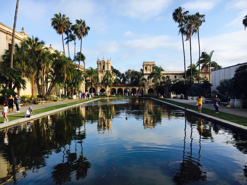 palm tree, plant, duck, city, group of people, water, waterfront, building, park, balboa park, built structure, outdoors, sky, architecture, tree, reflection