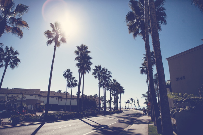 clear sky, coconut palm tree, growth, nature, california, city, palm trees, cali, sunshine, street, united states, beach, palm tree, treelined, 5K, laid back