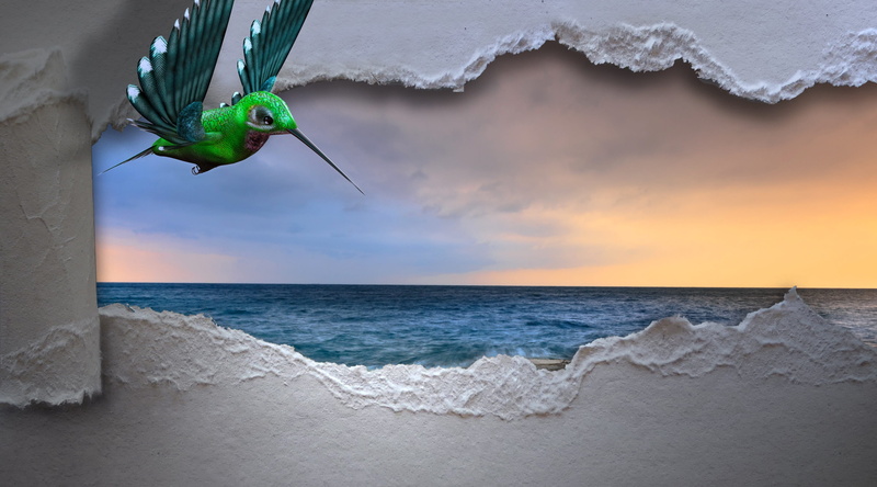 land, beach, illustration, hummigbird, sea, day, water, 2K, horizon, paper, green, cloud - sky, nature, one animal, assembly, liberation, animal, longing