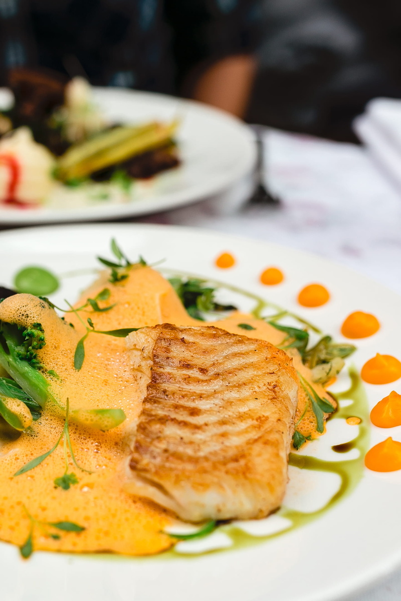 gourmet, dinner, salad, slice, still life, food styling, lunch, table, salmon, meal, food And Drink, eating, wellbeing, 2K, seafood, cooked, focus on foreground