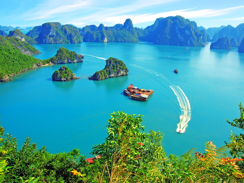 junks, Vietnam, orange, day, idyllic, scenics, lake, tree, nature, mode of transportation, vegetation, landscape, water, outdoors, ship, yachts, tranquil scene