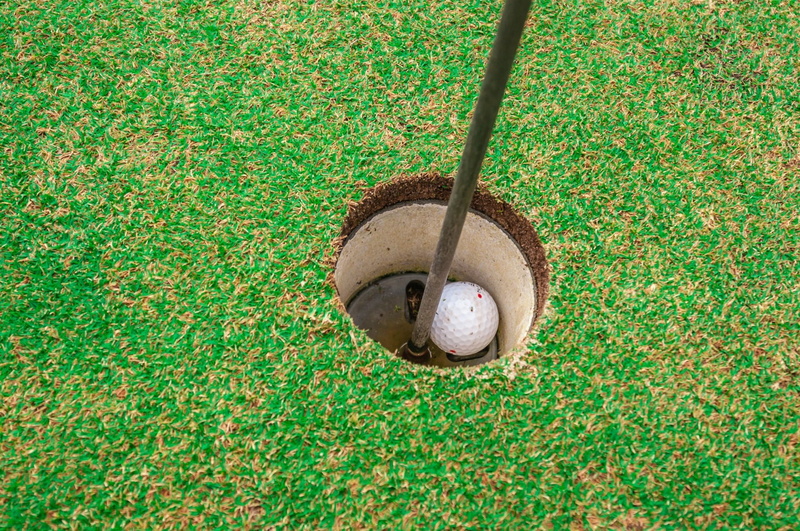 field, golfing, grass, outdoors, activity, leisure, sunlight, day, no people, hole, challenge, sport, concept, fun, golf, plant, ball, high angle view
