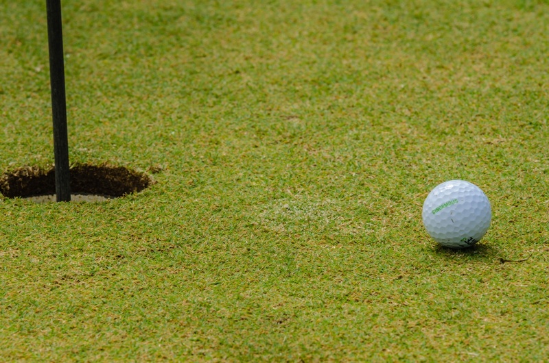 professional sport, nature, field, sport, outside, at the edge of, outdoor, active, target, leisure activity, golfer, recreation, plant, golf course, activity