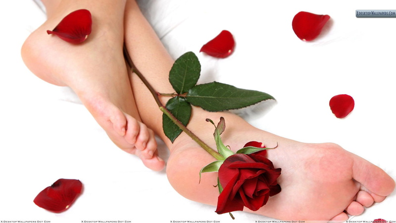 lovely, amp, petals, 3d and abstract, rose, 1080P, feet