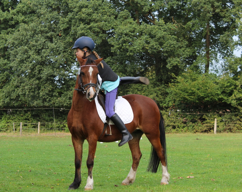 hobby, helmet, herbivorous, land, day, domestic, horseback Riding, vertebrate, tree, get off, girl, livestock, domestic animals, real people, riding pony