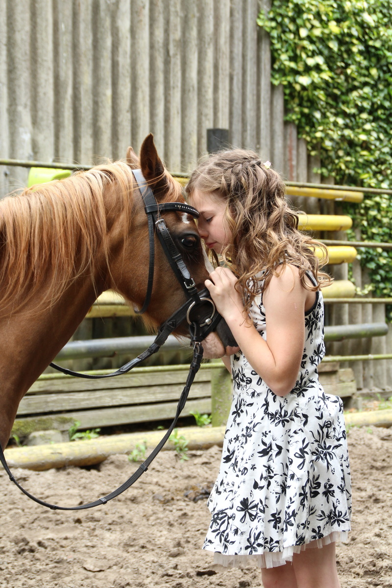 horsewoman, pony, mammal, animal wildlife, female, live, human, pets, summer, dress, young adult, animal, joy, girl, feel at home, hair, horse, coupling
