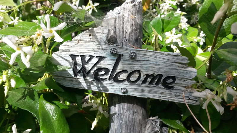 trunk, summer, no people, text, white, message, jasmine, sign, tree trunk, nature, leaf, white Jasmine, day, wooden, signage, garden sign, information