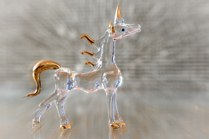 fish, mystical, animals in the wild, water, glass - material, splashing, clear, vertebrate, wood - material, deccor, no people, close-up, animal representation