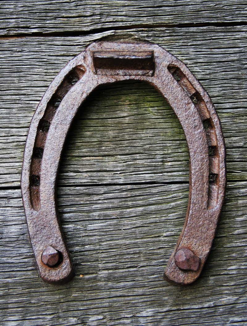 gray, rustic, geometric shape, memory, surface, symbol of happiness, pinned, wood - material, architecture, symbolism, shape, day, old, good luck, horse