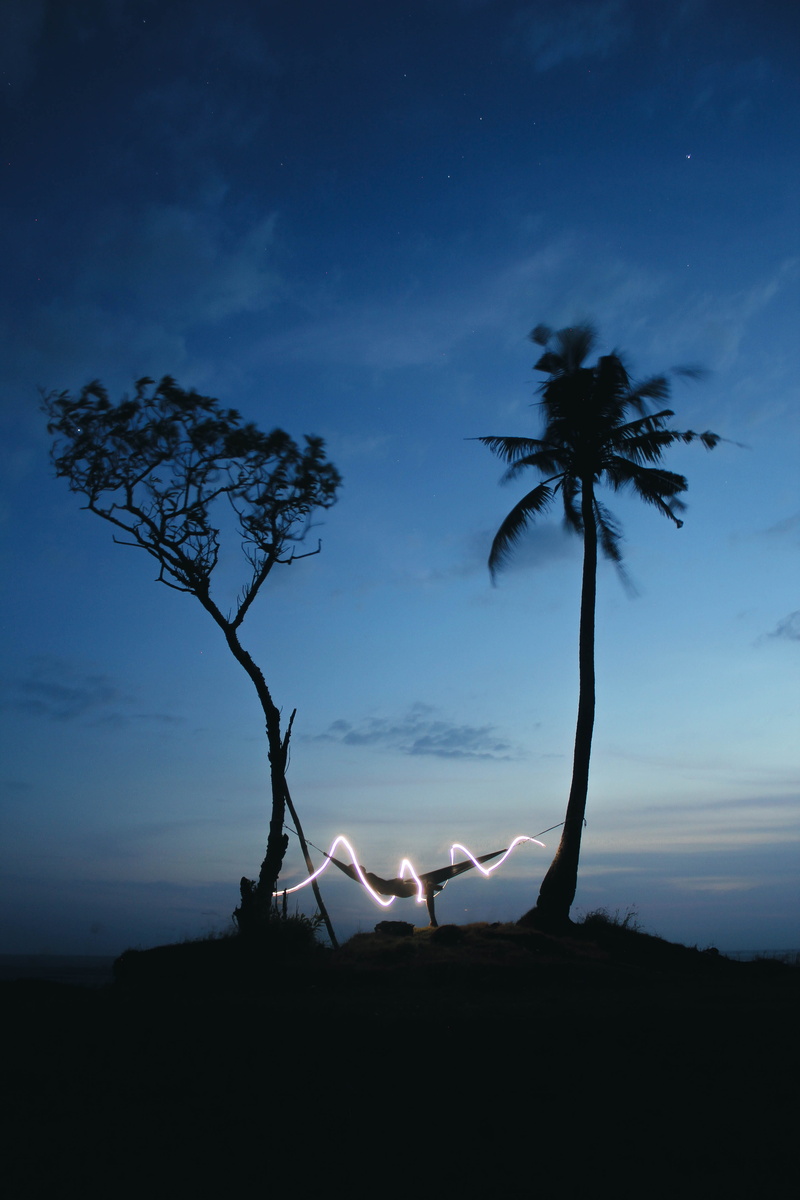 light, longexposure, land, one person, cloud - sky, led, full length, timelap, plant, trees, tranquility, palm tree, nature, neon, women, relax, sunset