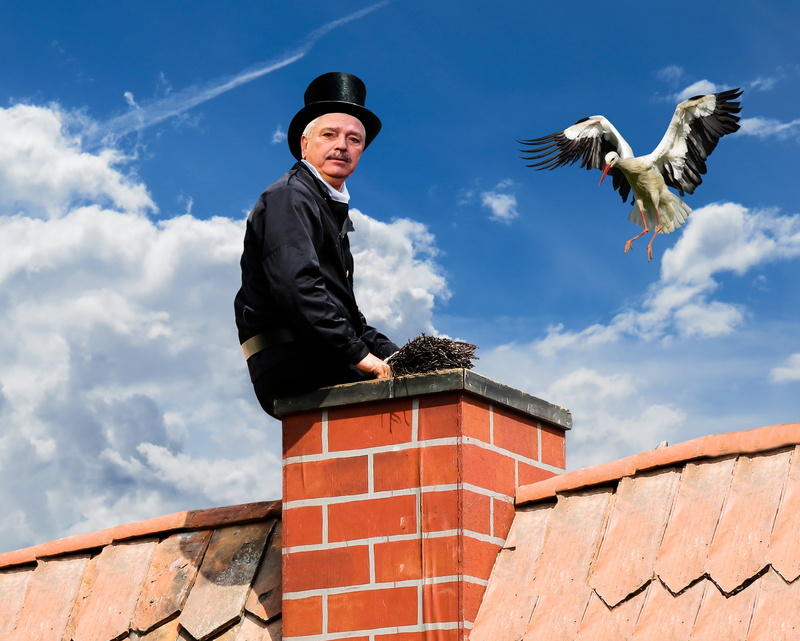 luck, lucky charm, bird, white, outdoors, sky, low angle view, real people, roof, vertebrate, animals in the wild, stork, architecture, animal wildlife