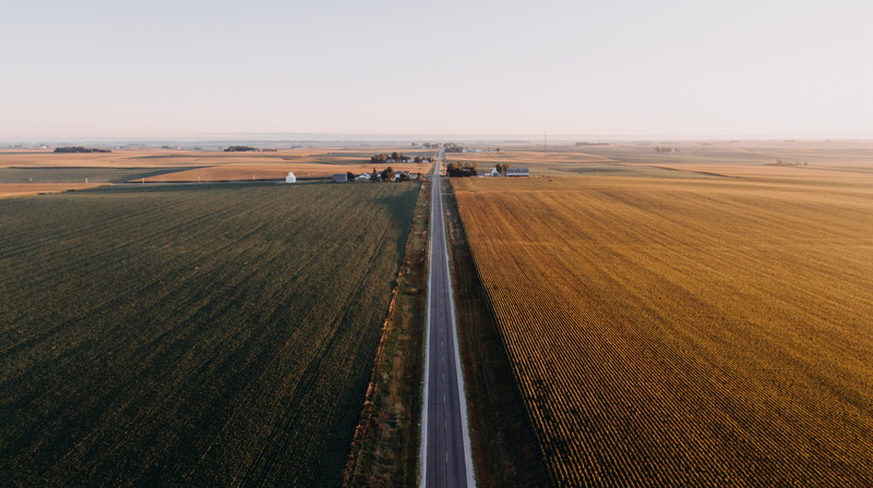 high angle view, drone image, day, long, morning, morning light, farm, horizon over land, 2K, crops, outdoors, cereal plant, sky, scenics - nature, no people