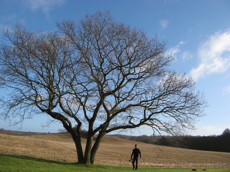 park, branch, tranquil scene, fall, kamera, sky, tranquility, 2K, solitude, weather, people, portrait, landscape, man, outdoors, nature, rene asmussen