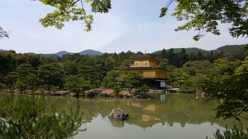 no people, scenics - nature, plant, tree, day, built structure, building exterior, nature, golden pavilion temple, Japan Pavilion, architecture, Kinkaku-Ji