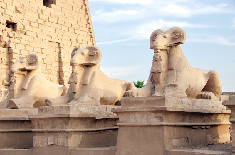 culture, history, sky, rams, craft, statues, karnak, egypt, representation, sculpture, amen, art and craft, belief, pierre, architecture, male likeness