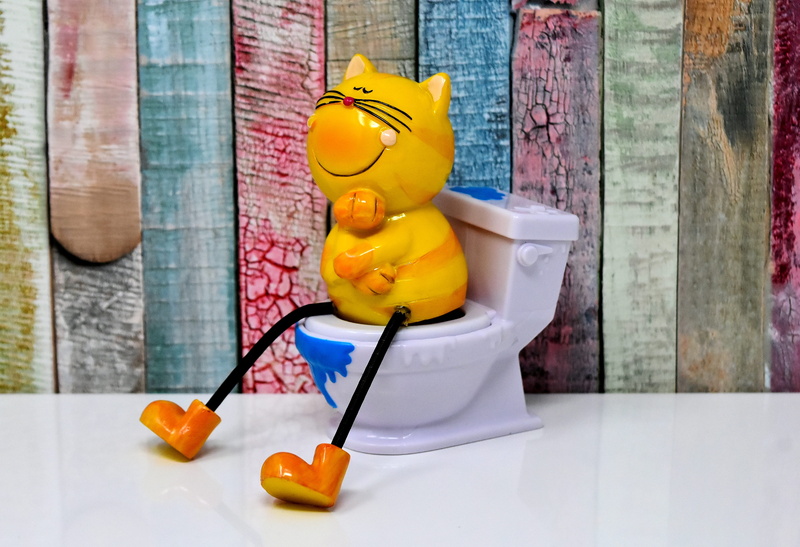 cute, domestic room, creativity, childhood, funny, art and craft, close-up, yellow, toy, food and drink, humor, litter box, loo, rubber duck, representation