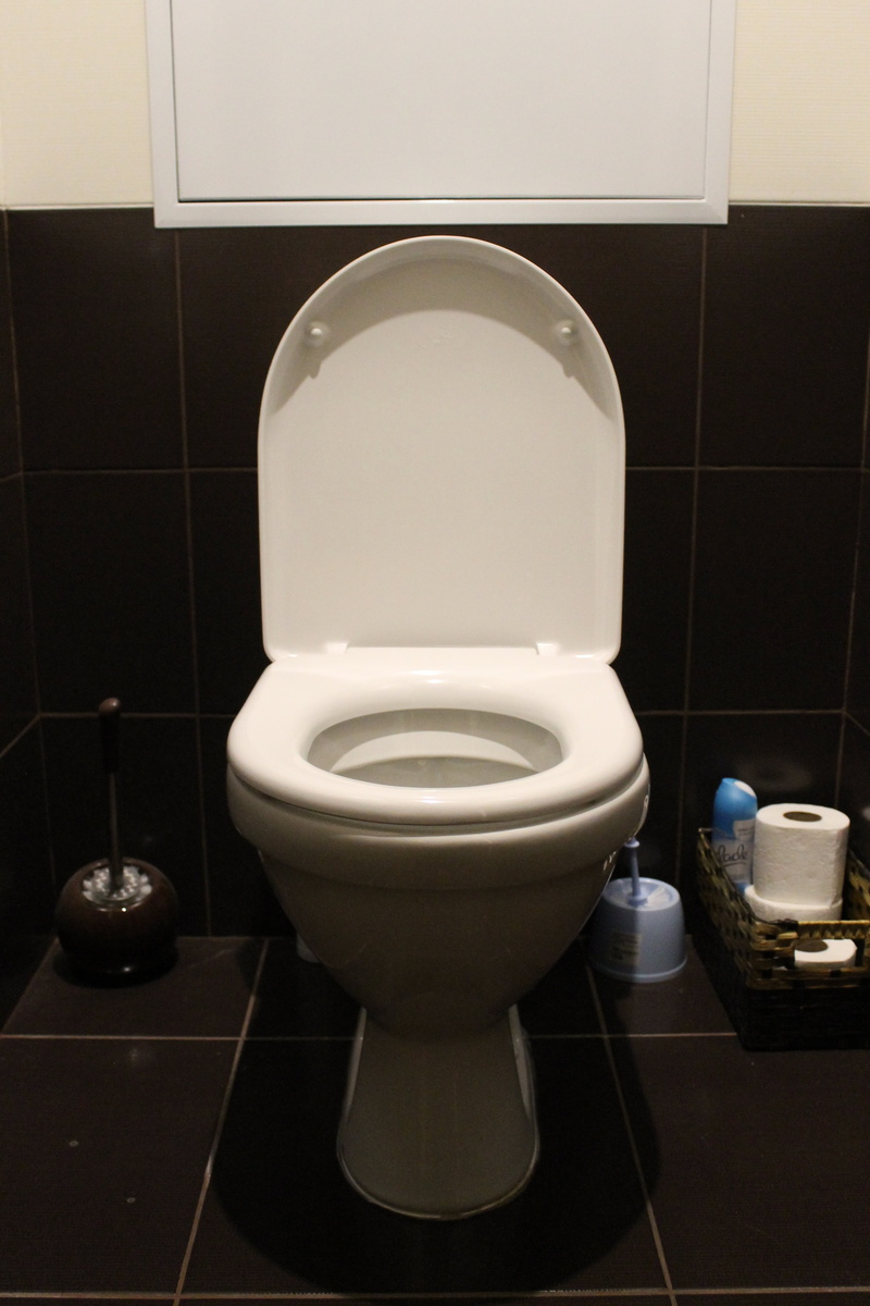 high angle view, home, toilet bowl, wc, flooring, close-up, white, indoors, clean, toilet, toilet room, bowl, neat, white color, domestic room, hygiene