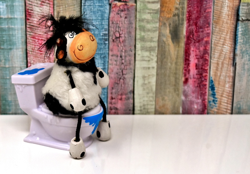 domestic room, miniature, doll, representation, indoors, cute, wc, creativity, toilet, art and craft, funny, flush, mammal, toy, day, cow, male likeness
