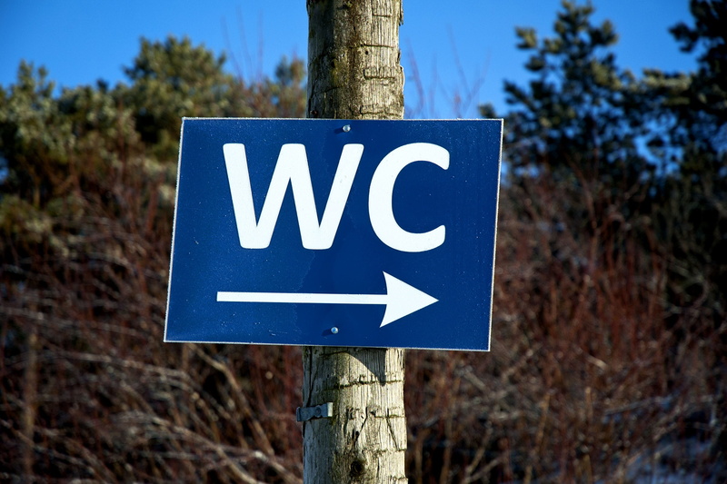 directional sign, plant, tree, 2K, communication, focus on foreground, Wc, Toilet, symbol, trunk, Restroom, western script, guidance, Sign, wooden post