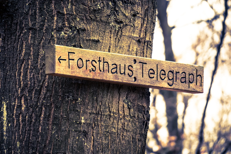 message, note, no people, western script, directory, signposts, warning sign, bark, characters, focus on foreground, sign, direction, day, 5K, forest