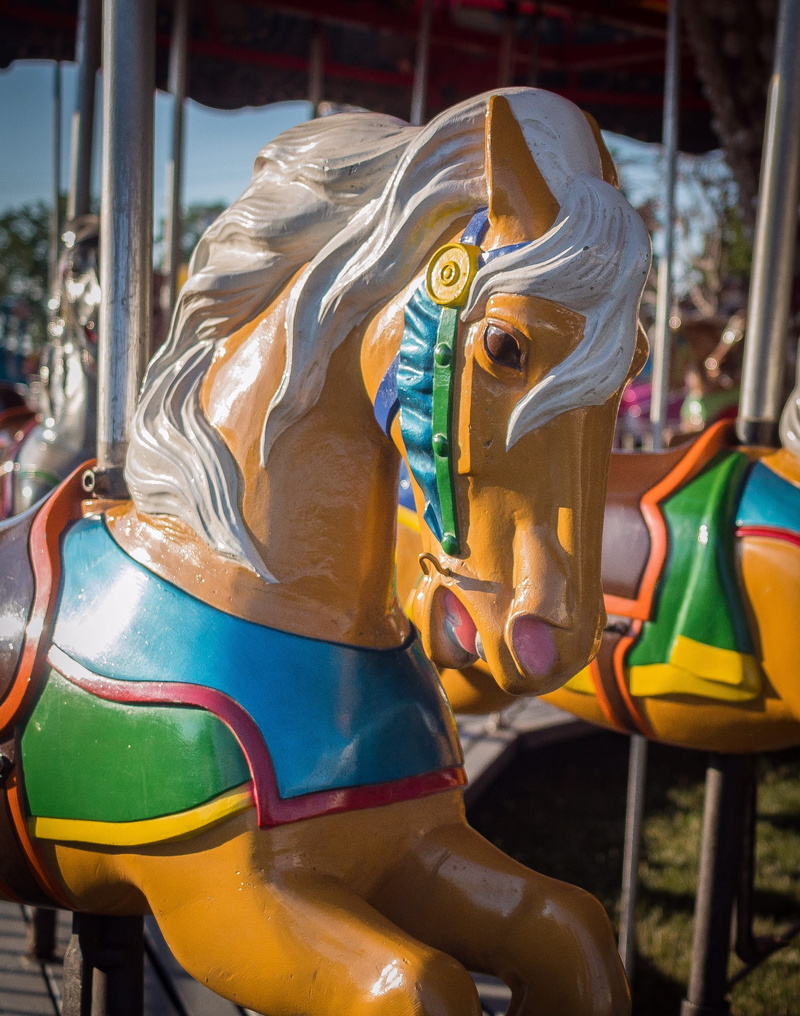 domestic animals, domestic, animal, carnival, carousel, horse, fair, canon rebel, mammal, nomad, amusement park, absence, canon camera, outdoor play equipment
