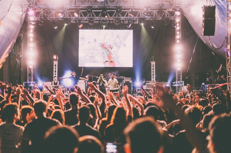show, enjoyment, celebration, performing Arts Event, stage - Performance Space, hall, human arm, spectator, arts culture and entertainment, large Group Of People