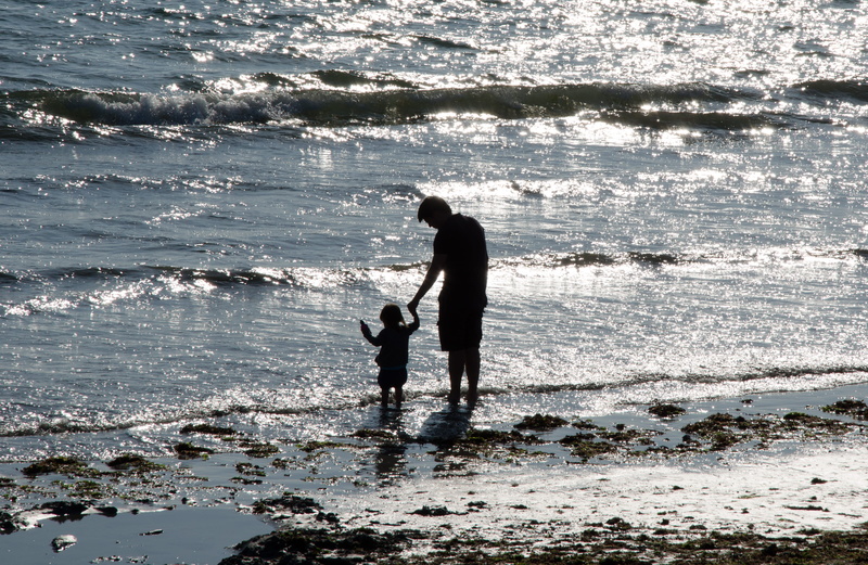 sea, parents, outdoors, canine, contrejour, animal themes, silhouettes, real people, pets, beach, one animal, pet owner, père et fils, nature, 2K, mer