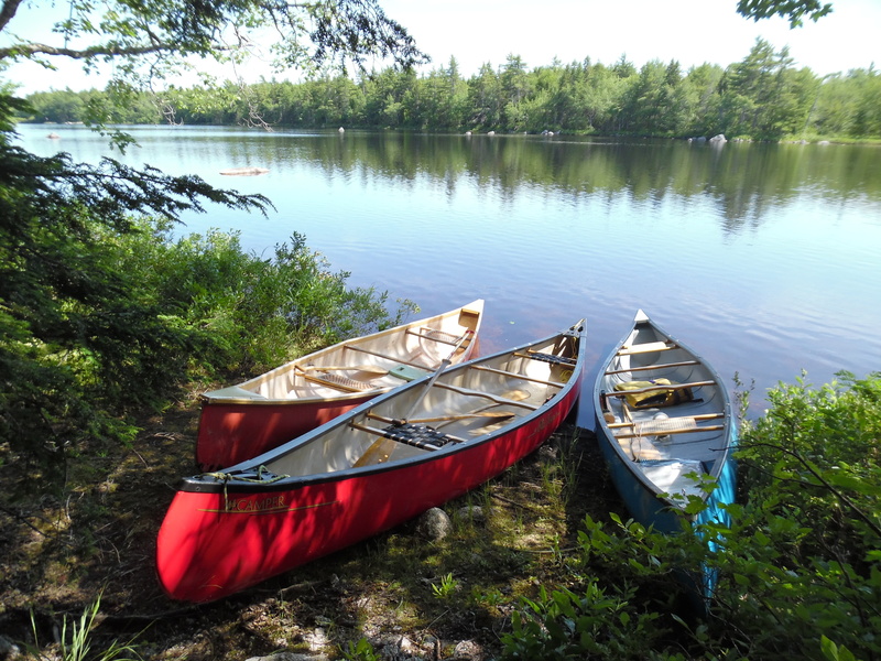 moored, new scotland, summer, rowboat, plant, canoe, vacancy, three, nautical Vessel, nature, non-urban scene, beach, no people, tree, forest, day, chalet