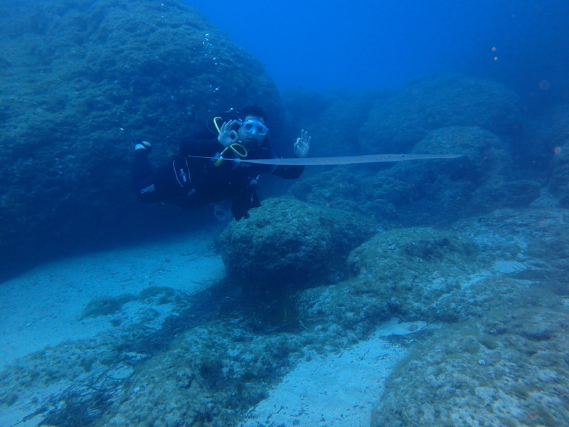 mediterranean, adventure, rock - object, blue, one person, beauty in nature, starfish, water, side, animals in the wild, divers, sport, nature, travel