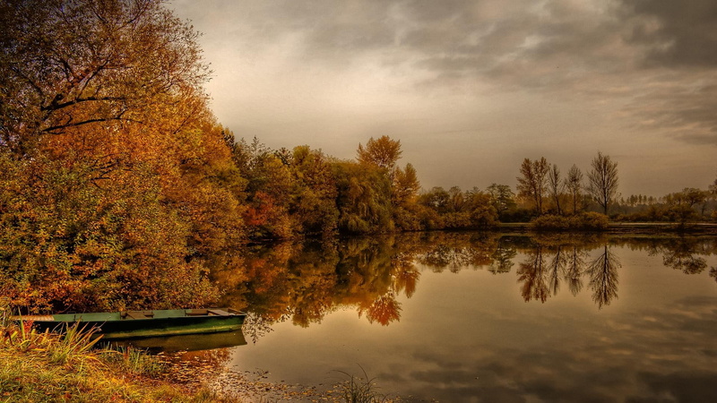 blissful, beautiful, shine, pristine, autumn, 3d and abstract, shimmer, golden, boat, 1080P, tones, gold