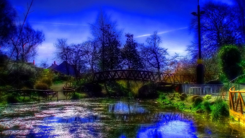 trees, stream, gleaming, 1080P, bridge, blue, sparkle, nature and landscapes