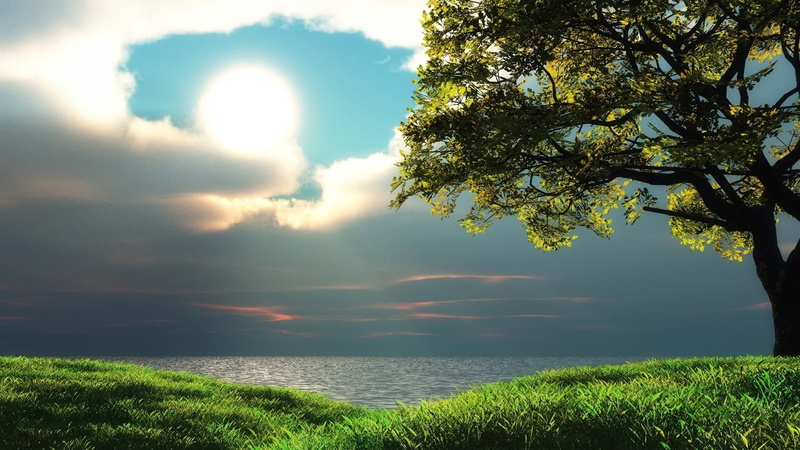 horizon over water, sky, backgrounds, light - Natural Phenomenon, green Color, outdoors, nature, idyllic, summer, sunset, sunrise - Dawn, sunlight, day